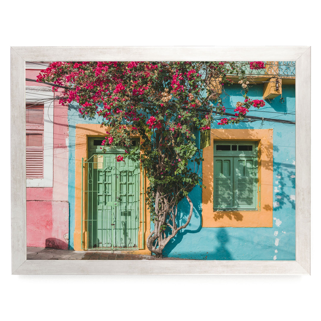 Bougainvillea and Green Door II, Olinda, Brazil print in a silver frame without mat
