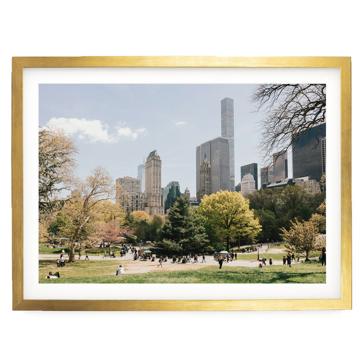 Central Park and Billionaires&