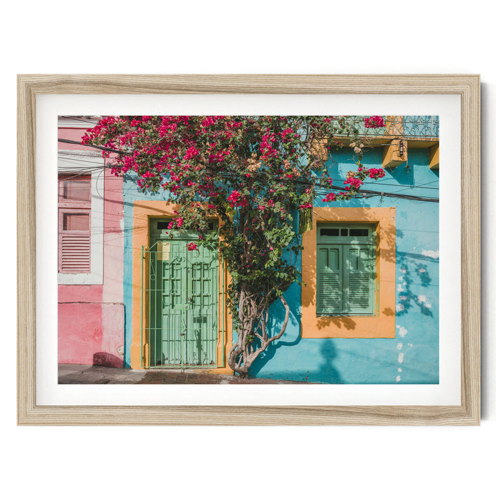 Bougainvillea and Green Door II, Olinda, Brazil fine art print in a natural wood frame with white mat