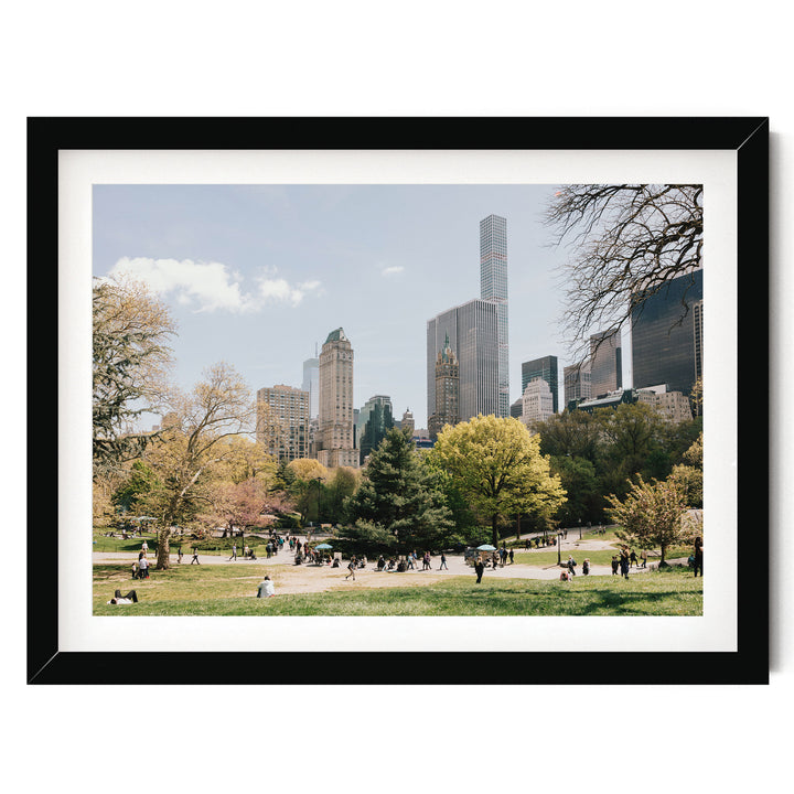 Central Park and Billionaires&