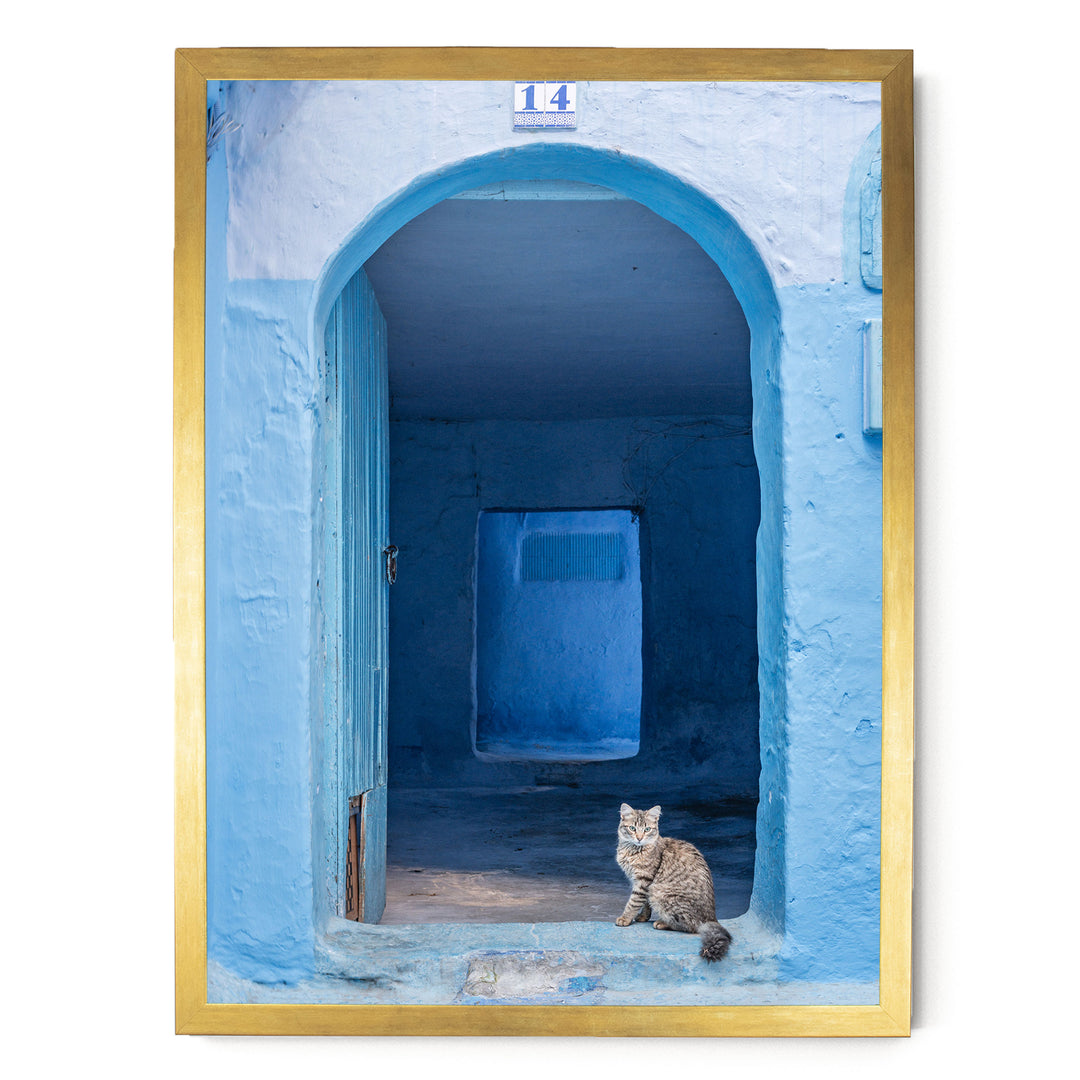 Cat in the Blue Doorway, Chefchaouen, Morocco print in a gold frame without mat