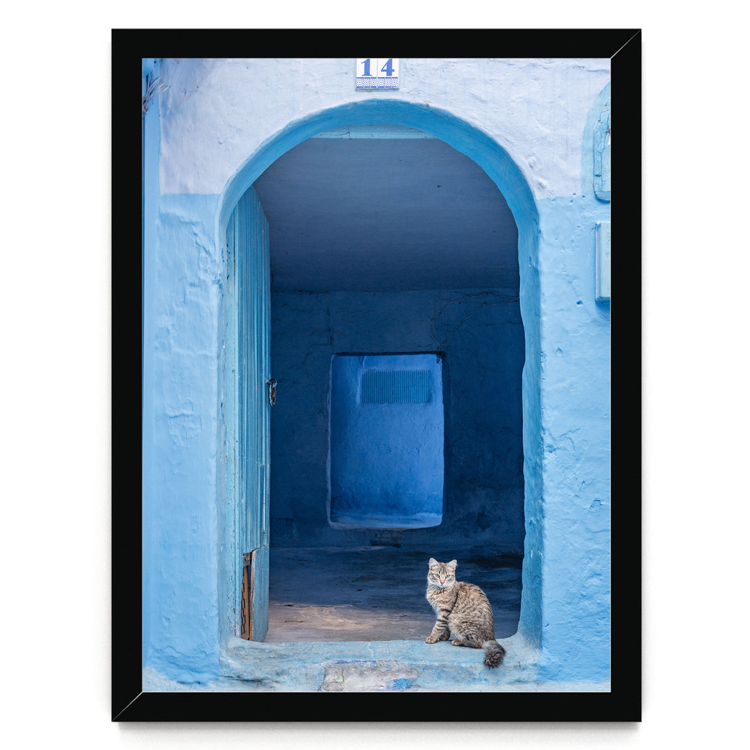 Cat in the Blue Doorway, Chefchaouen, Morocco print in a black frame without mat