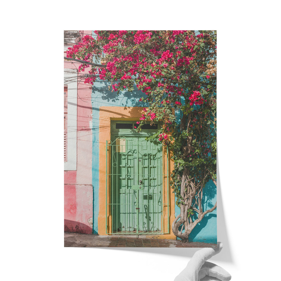 Bougainvillea and Green Door I, Olinda, Brazil unframed print on matte fine art paper