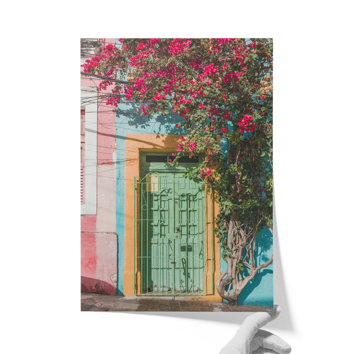 Bougainvillea and Green Door I, Olinda, Brazil unframed print on matte fine art paper