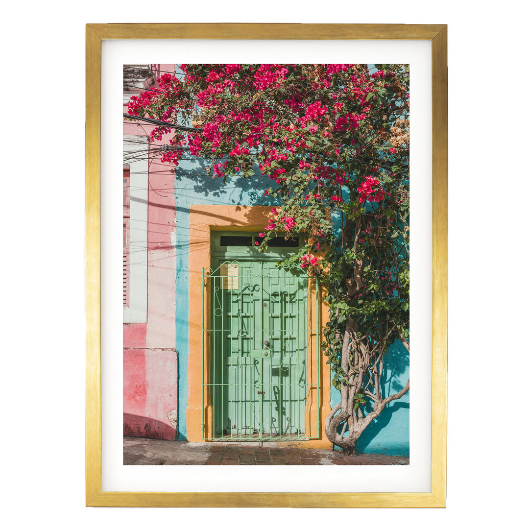 Bougainvillea and Green Door I, Olinda, Brazil print in a gold frame with white mat