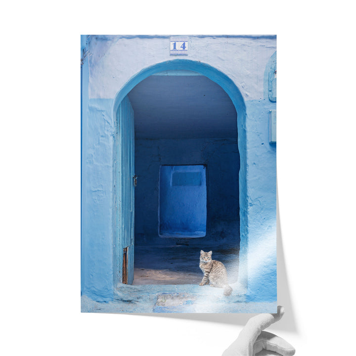 Cat in the Blue Doorway, Chefchaouen, Morocco unframed print on lustre photo paper