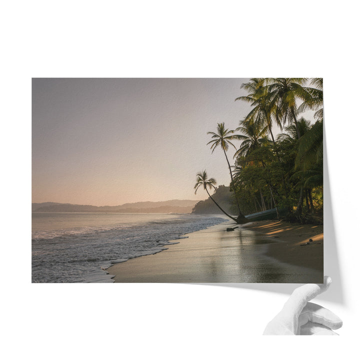 Palm Beach at Dawn, Drake Bay, Costa Rica unframed print on matte fine art paper