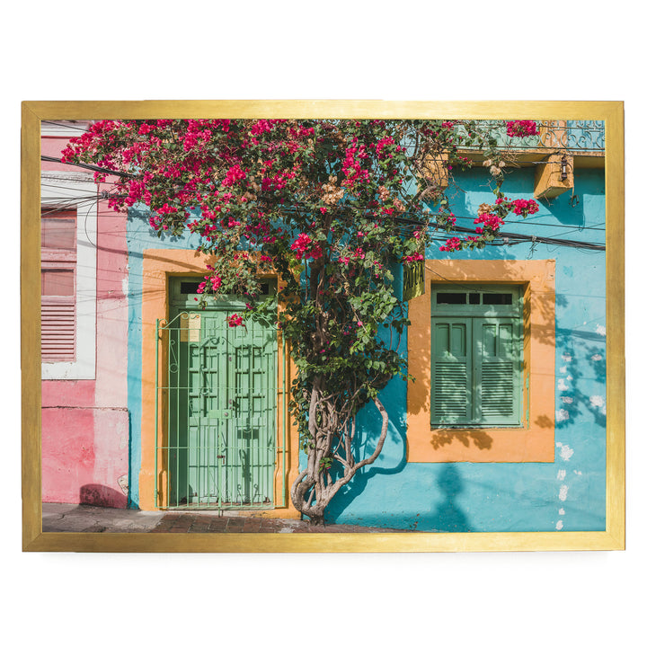 Bougainvillea and Green Door II, Olinda, Brazil print in a gold frame without mat