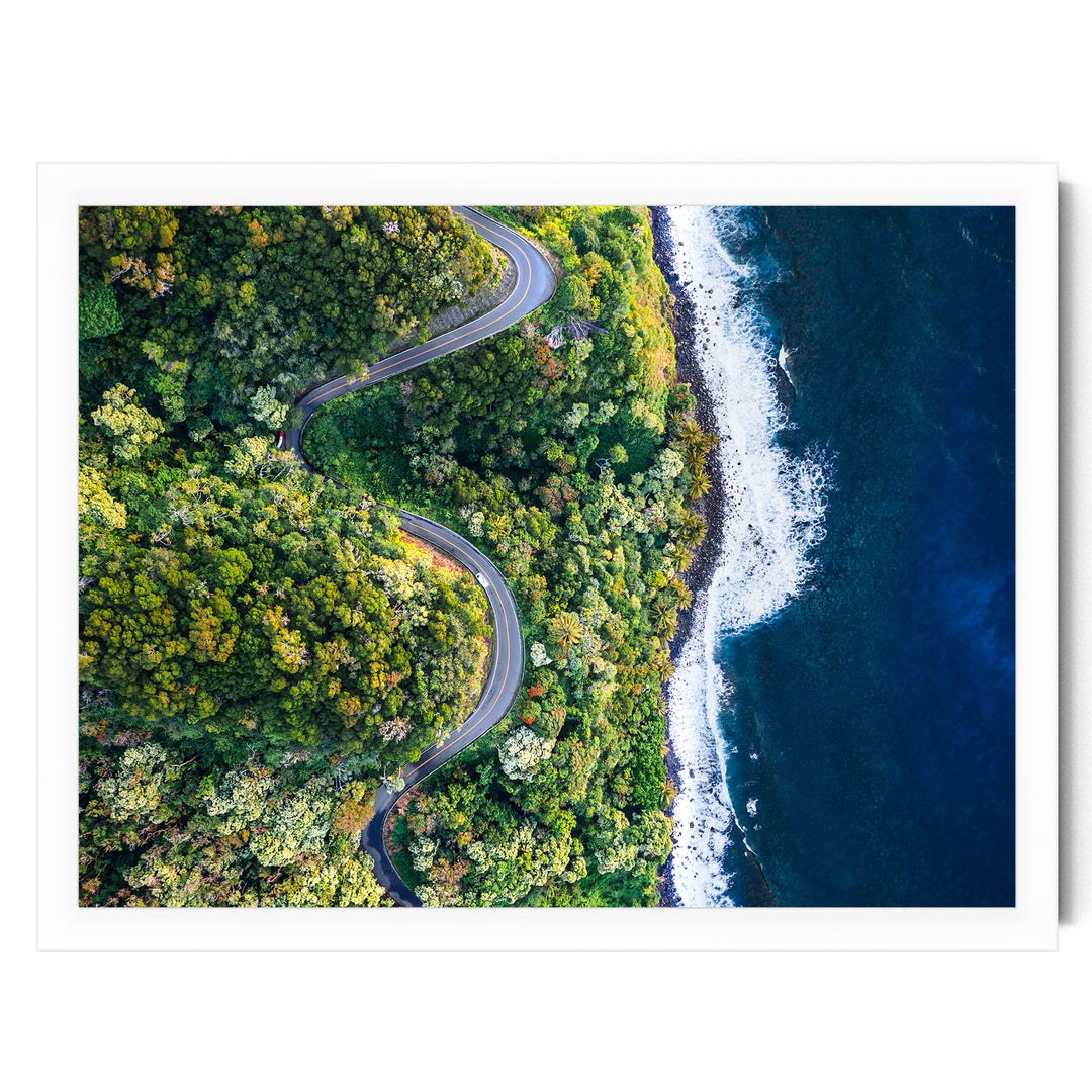 Road to Hana II, Maui, Hawaii print in a white frame without mat