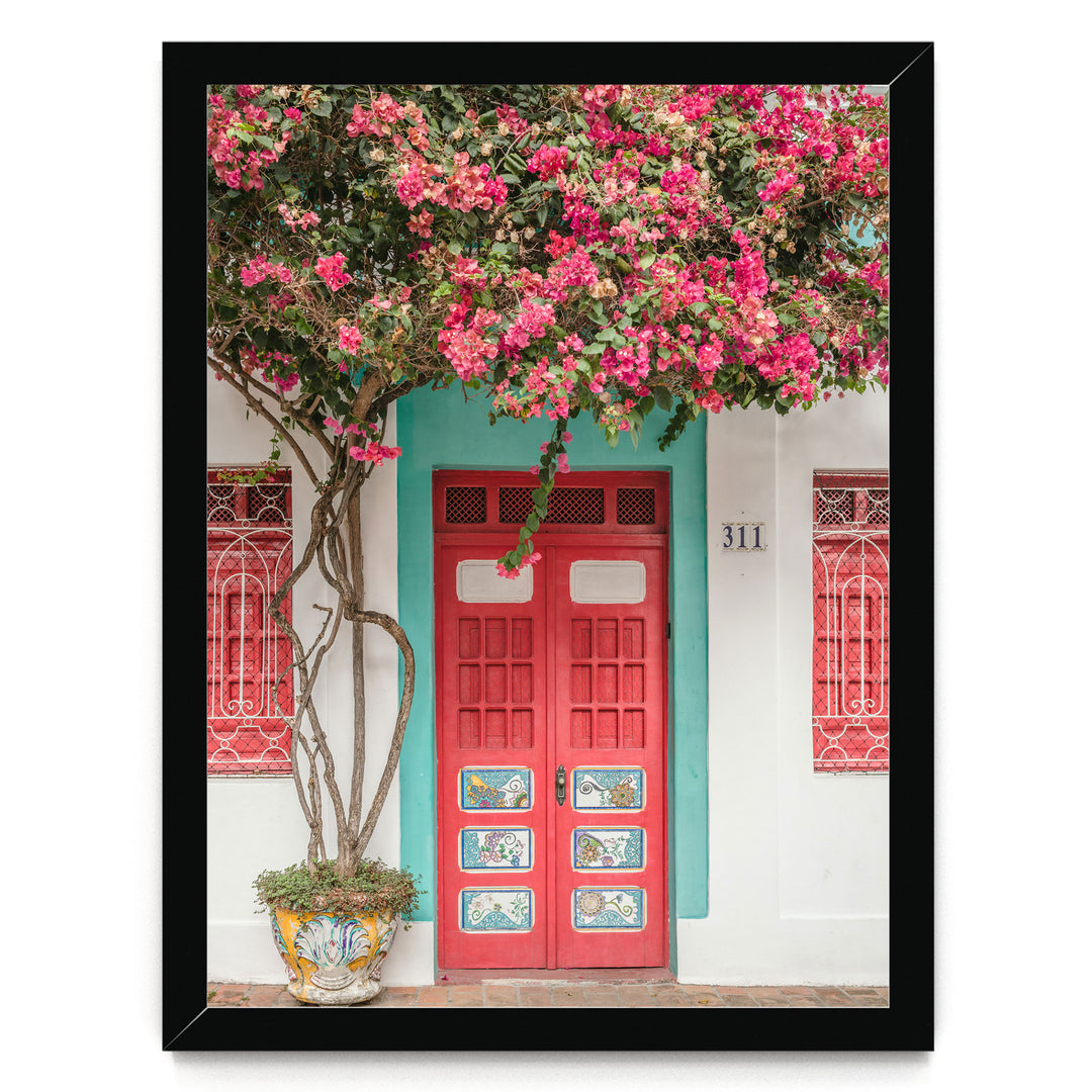 Bougainvillea and Red Door, Olinda, Brazil print in a black frame without mat
