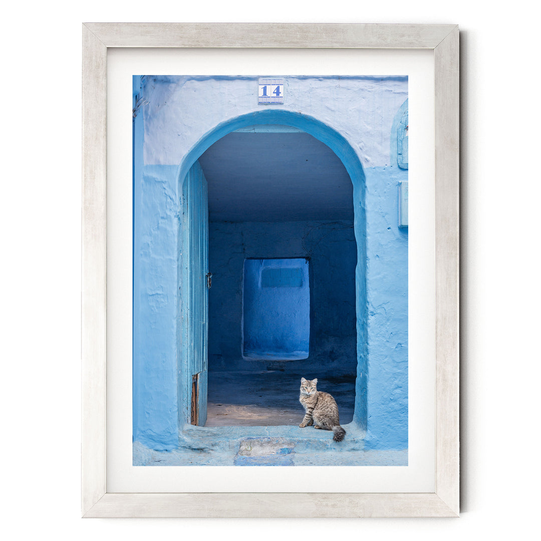 Cat in the Blue Doorway, Chefchaouen, Morocco print in a silver frame with white mat