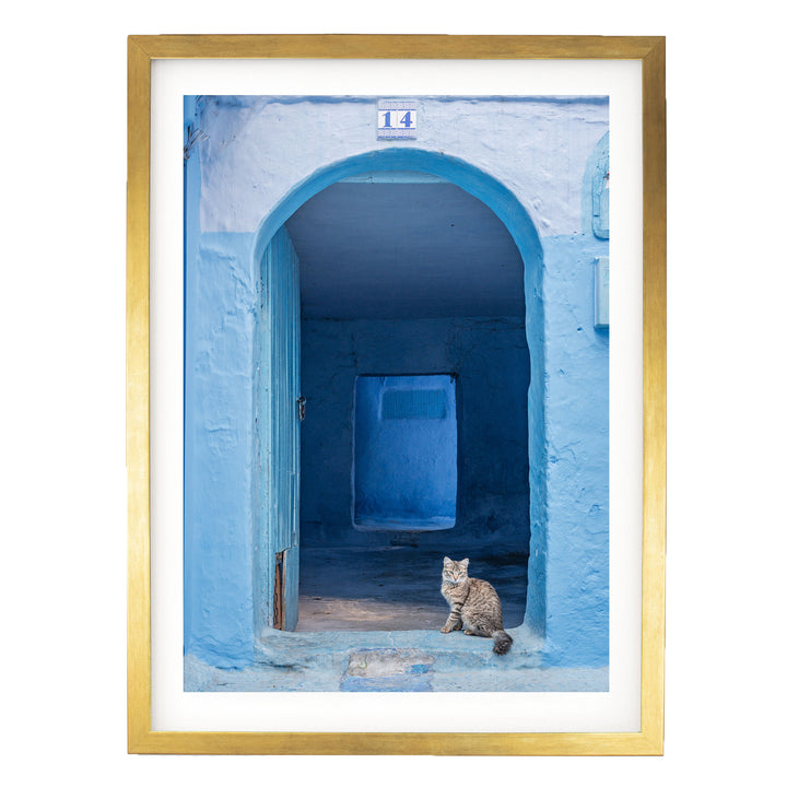 Cat in the Blue Doorway, Chefchaouen, Morocco print in a gold frame with white mat