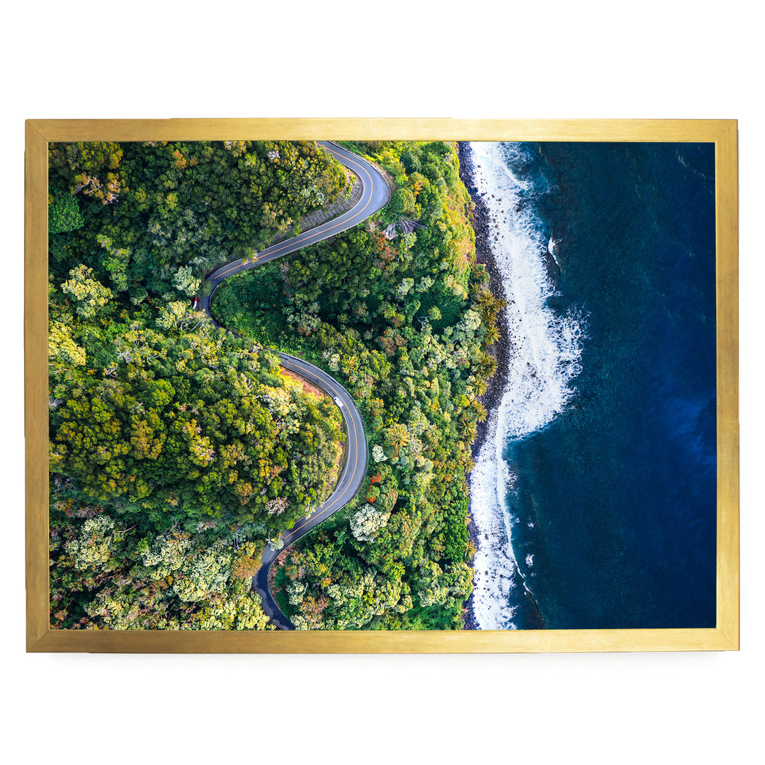Road to Hana II, Maui, Hawaii print in a gold frame without mat