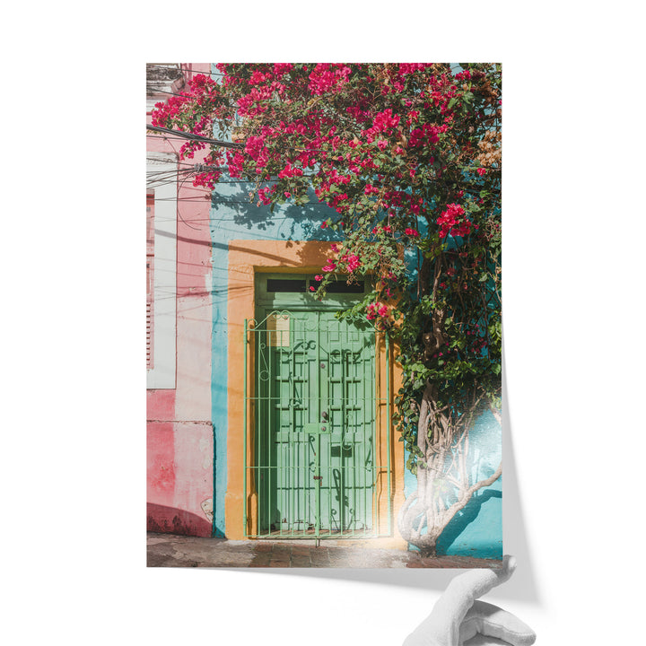 Bougainvillea and Green Door I, Olinda, Brazil unframed print on lustre photo paper