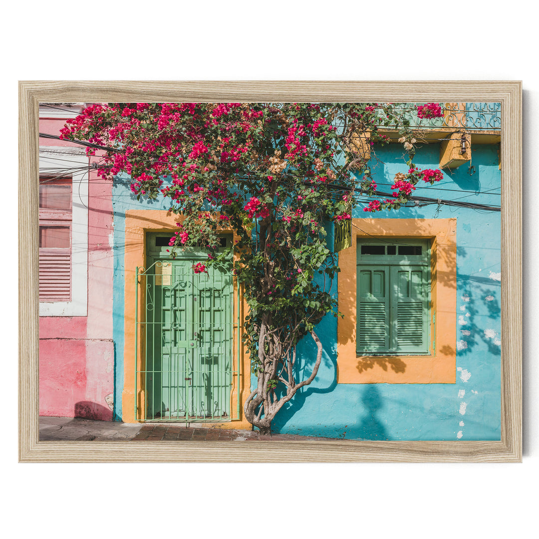 Bougainvillea and Green Door II, Olinda, Brazil print in a natural wood frame without mat