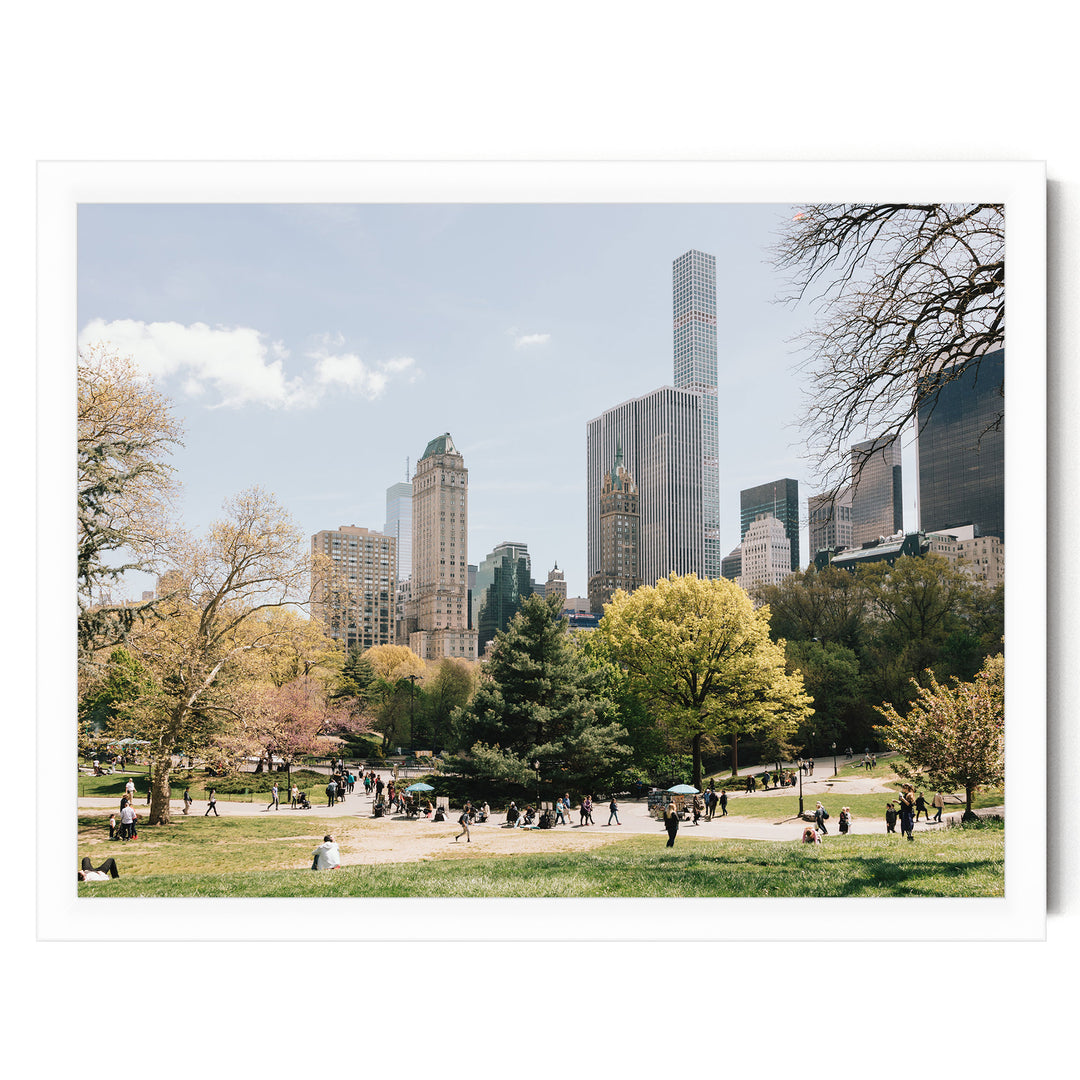 Central Park and Billionaires&