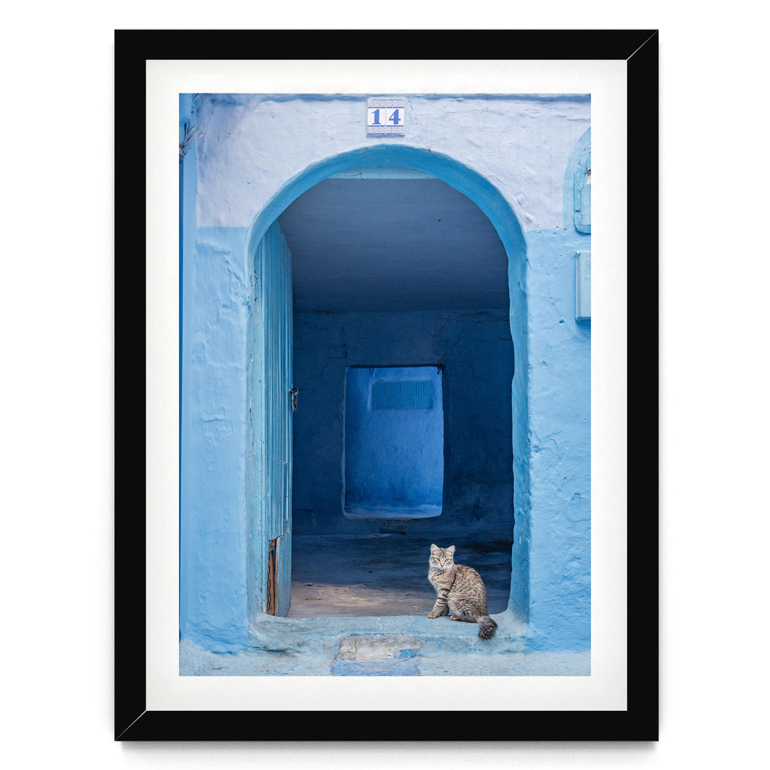 Cat in the Blue Doorway, Chefchaouen, Morocco print in a black frame with white mat