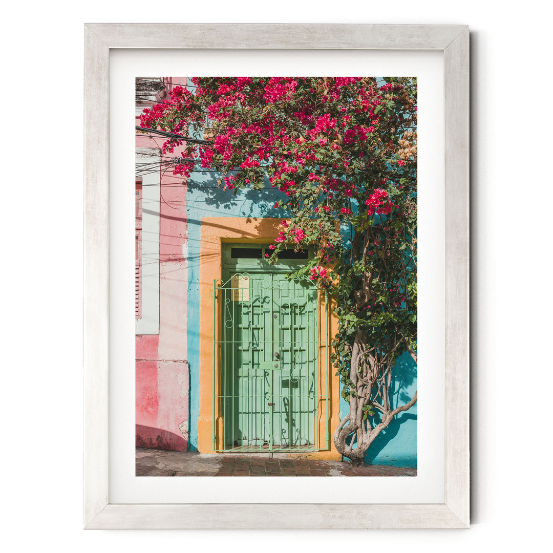 Bougainvillea and Green Door I, Olinda, Brazil print in a silver frame with white mat