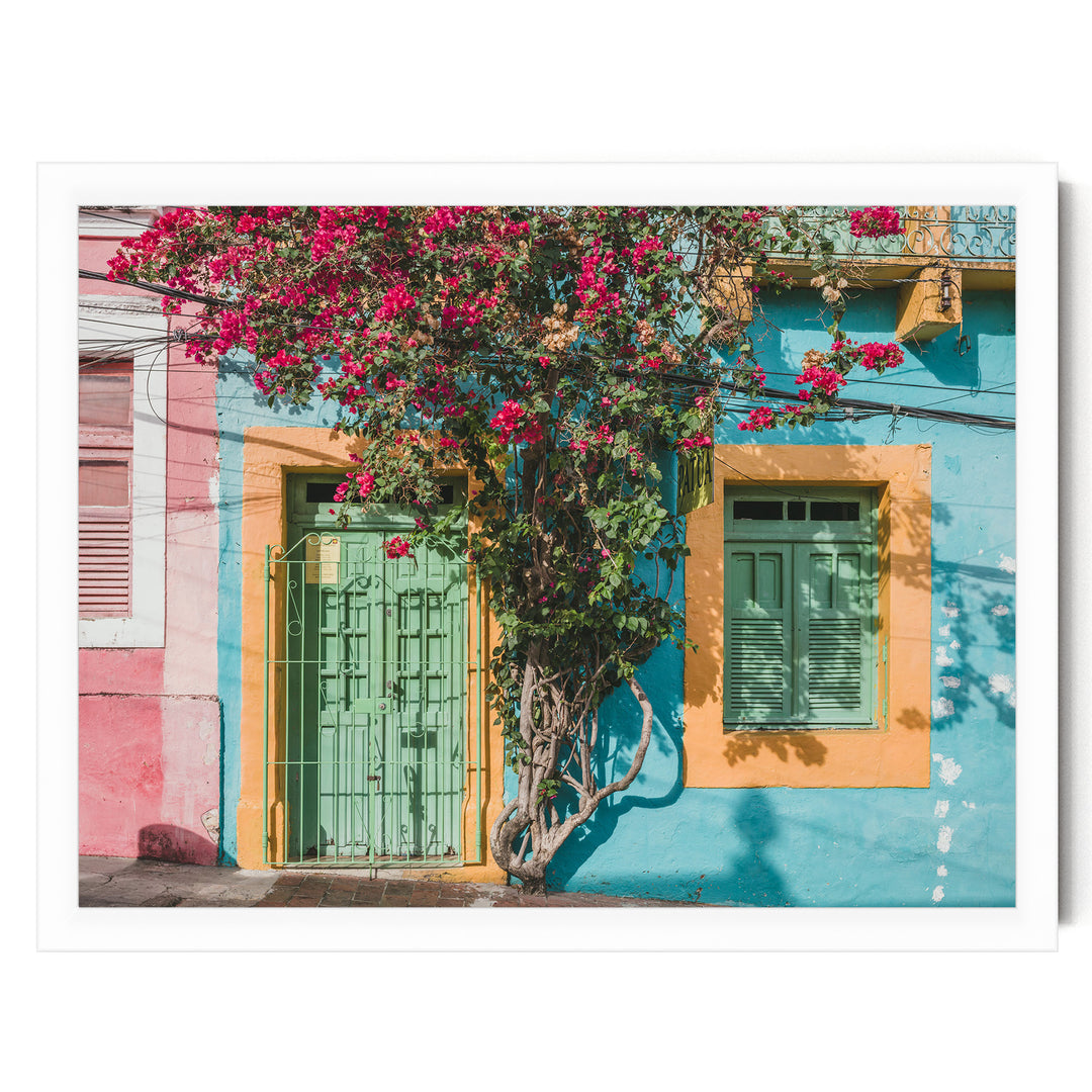 Bougainvillea and Green Door II, Olinda, Brazil print in a white frame without mat