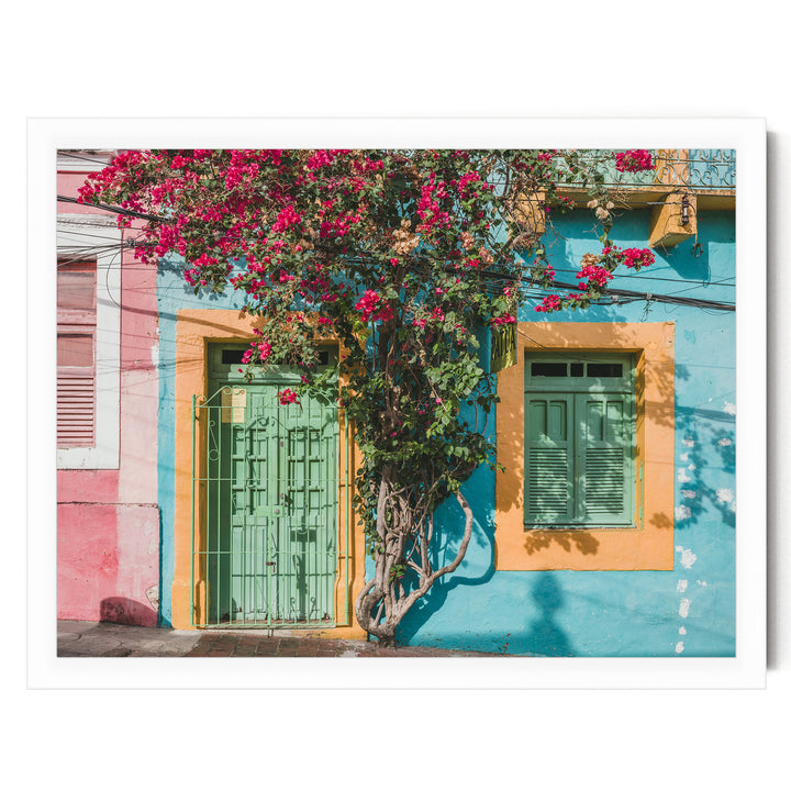 Bougainvillea and Green Door II, Olinda, Brazil print in a white frame without mat