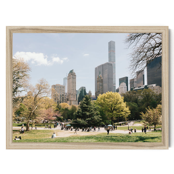 Central Park and Billionaires&