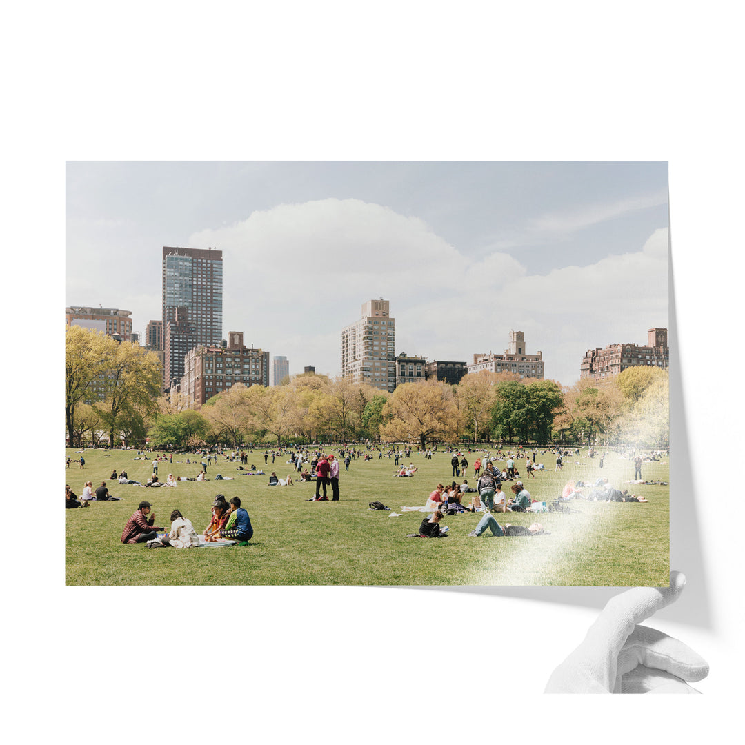 Sheep Meadow, Central Park, New York City unframed print on lustre photo paper