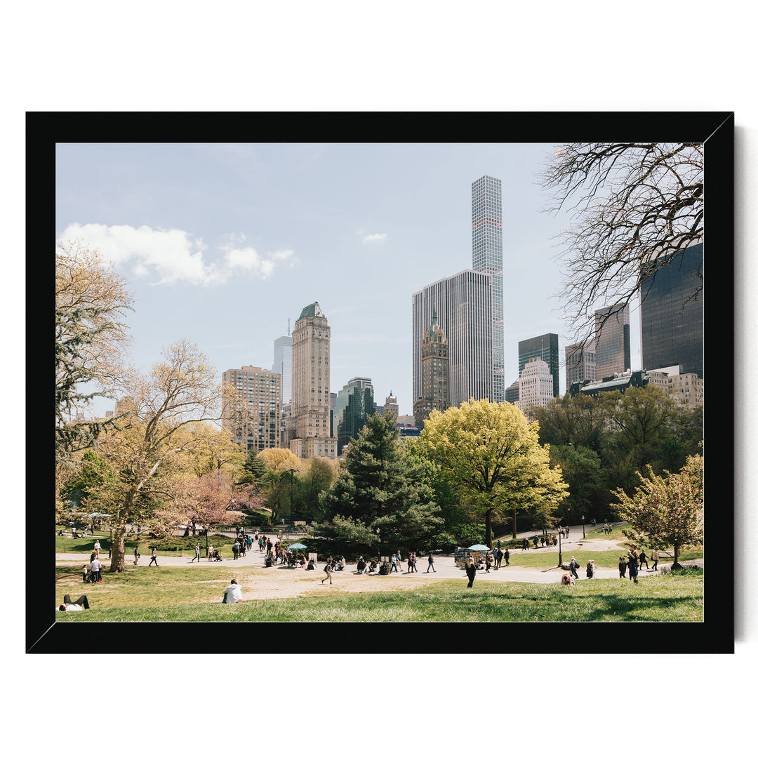 Central Park and Billionaires&
