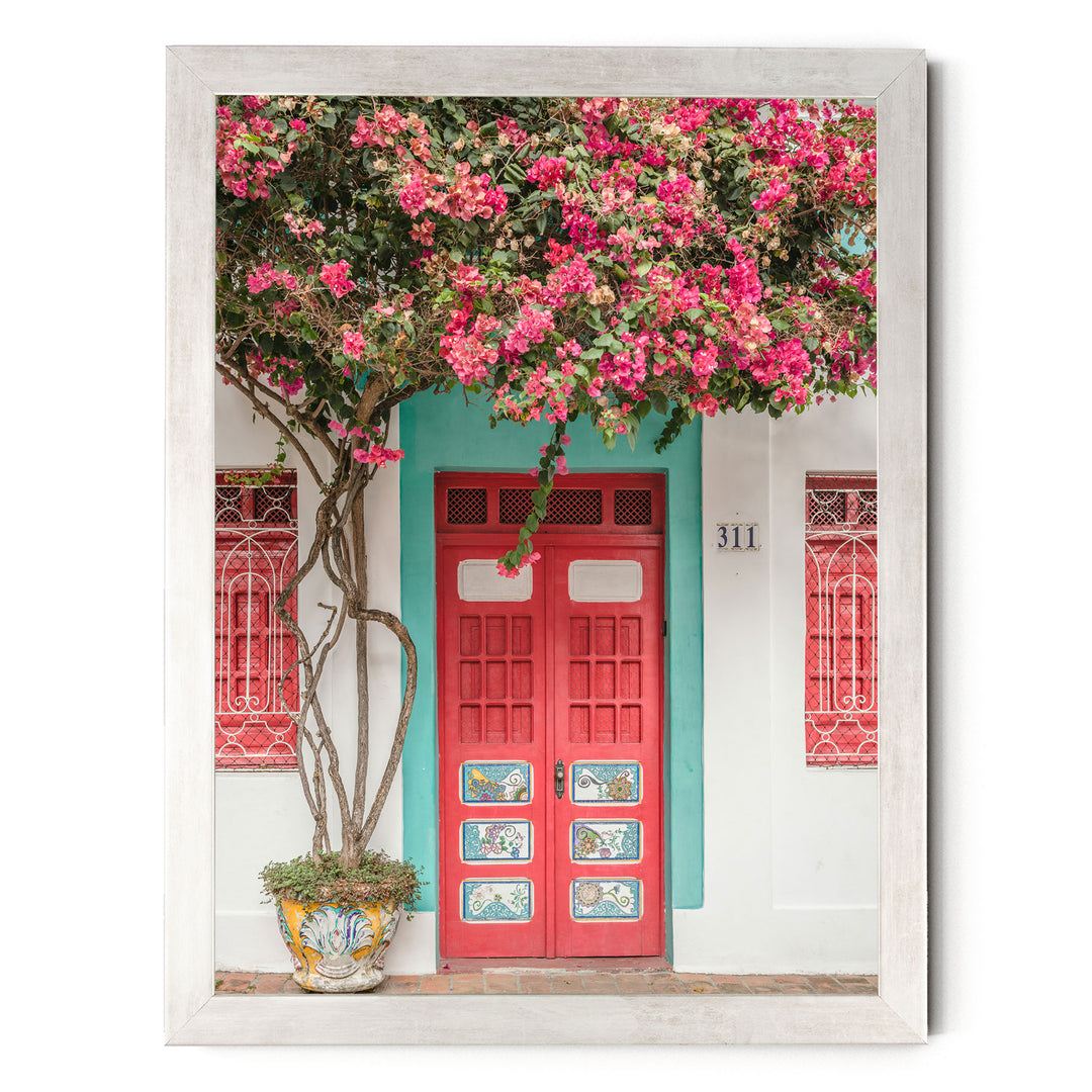 Bougainvillea and Red Door, Olinda, Brazil print in a silver frame without mat