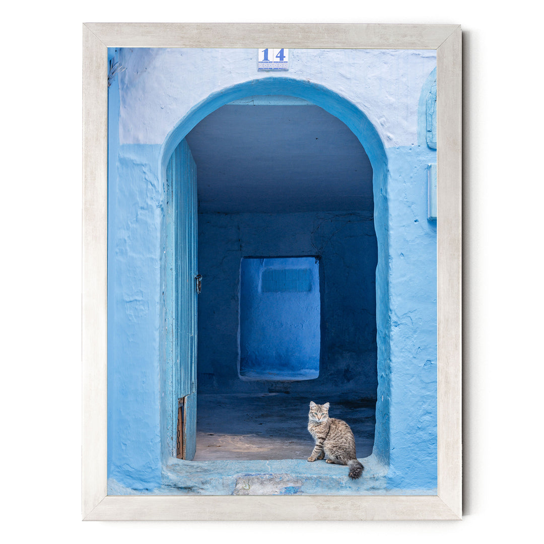 Cat in the Blue Doorway, Chefchaouen, Morocco print in a silver frame without mat