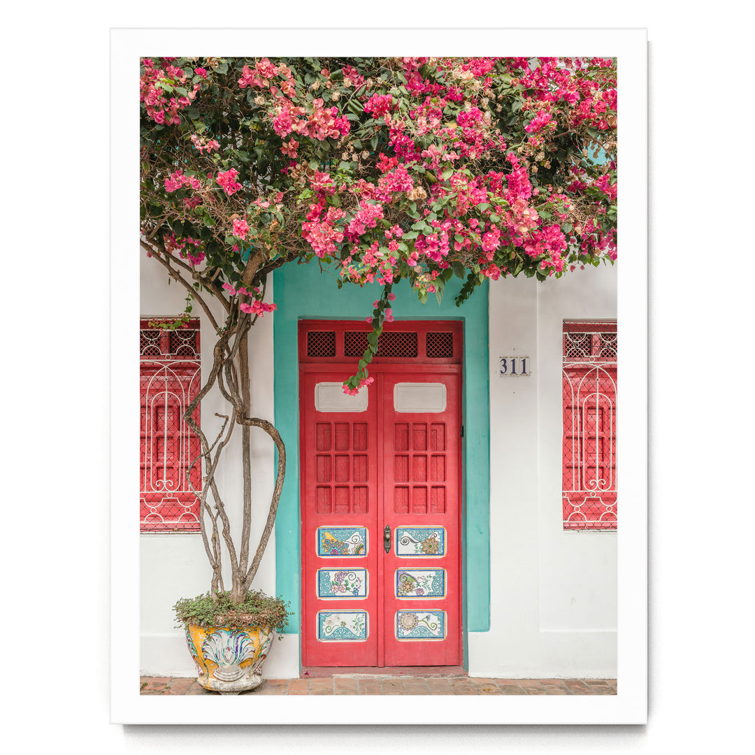 Bougainvillea and Red Door, Olinda, Brazil print in a white frame without mat
