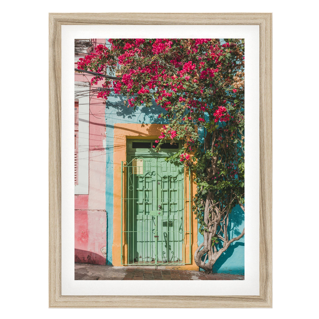 Bougainvillea and Green Door I, Olinda, Brazil fine art print in a natural wood frame with white mat