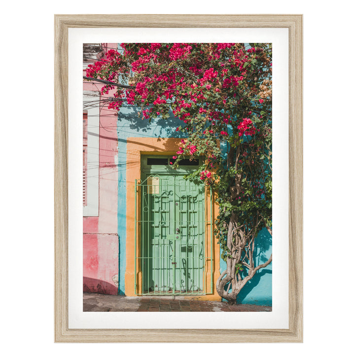 Bougainvillea and Green Door I, Olinda, Brazil fine art print in a natural wood frame with white mat