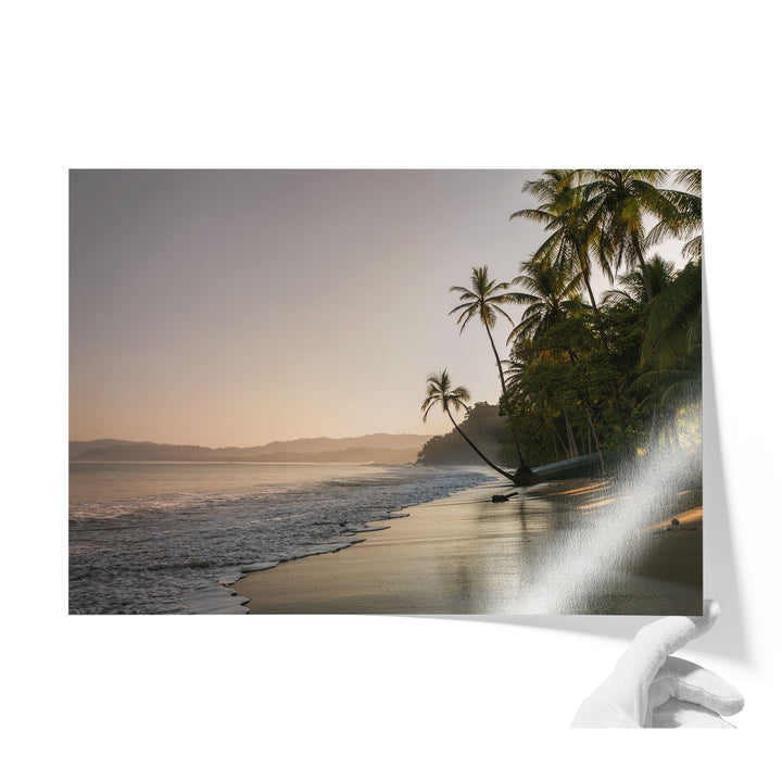 Palm Beach at Dawn, Drake Bay, Costa Rica unframed print on lustre photo paper