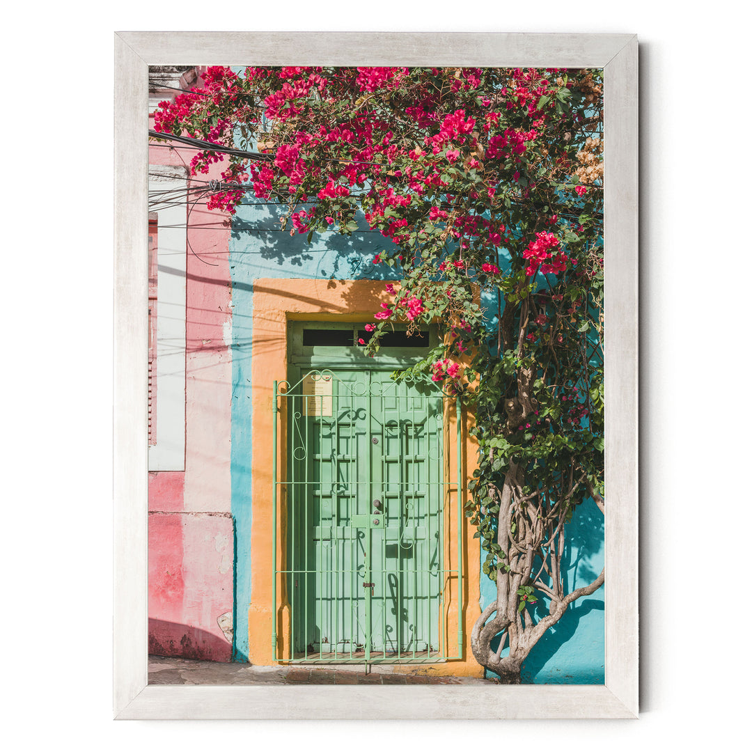 Bougainvillea and Green Door I, Olinda, Brazil print in a silver frame without mat