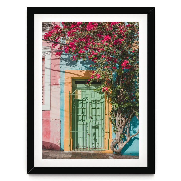 Bougainvillea and Green Door I, Olinda, Brazil print in a black frame with white mat