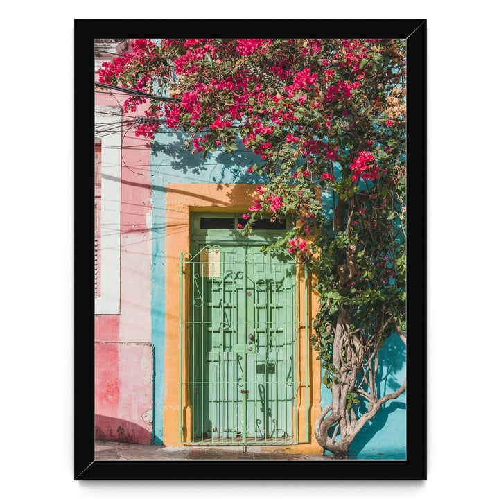 Bougainvillea and Green Door I, Olinda, Brazil print in a black frame without mat