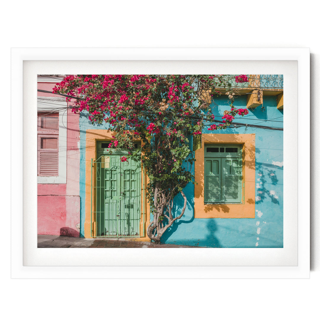 Bougainvillea and Green Door II, Olinda, Brazil print in a white frame with white mat