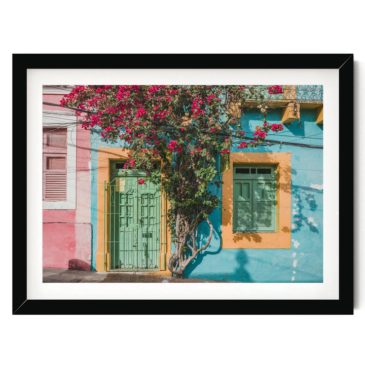 Bougainvillea and Green Door II, Olinda, Brazil print in a black frame with white mat