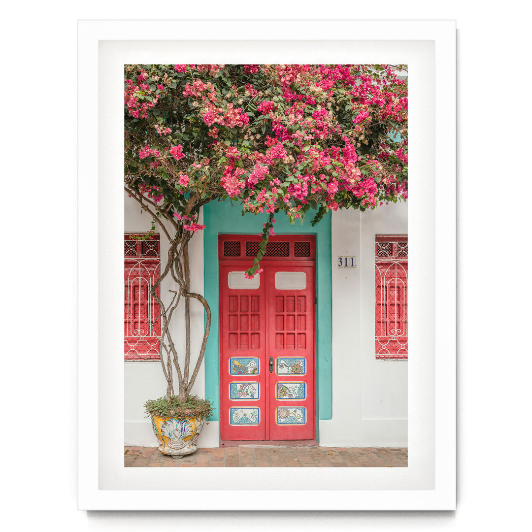 Bougainvillea and Red Door, Olinda, Brazil print in a white frame with white mat