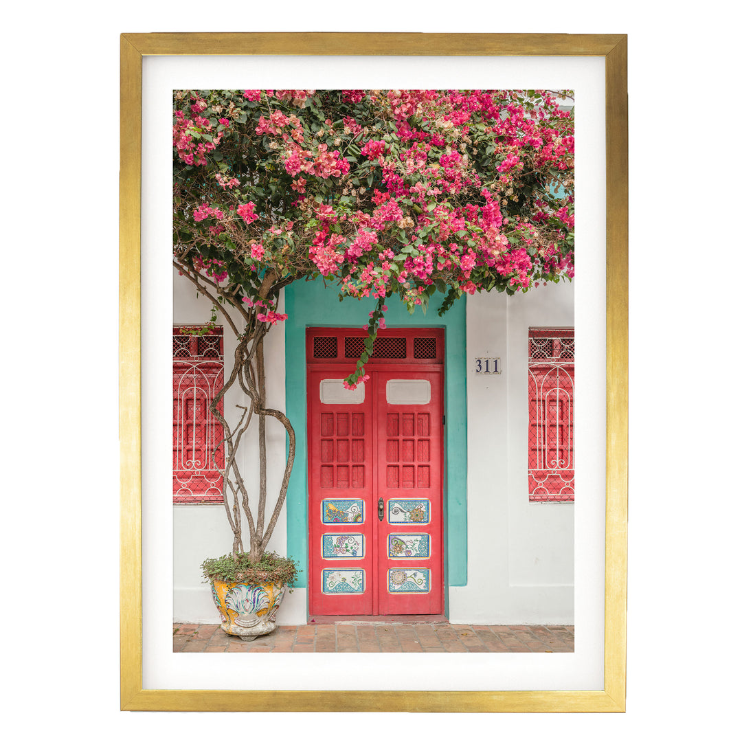 Bougainvillea and Red Door, Olinda, Brazil print in a gold frame with white mat
