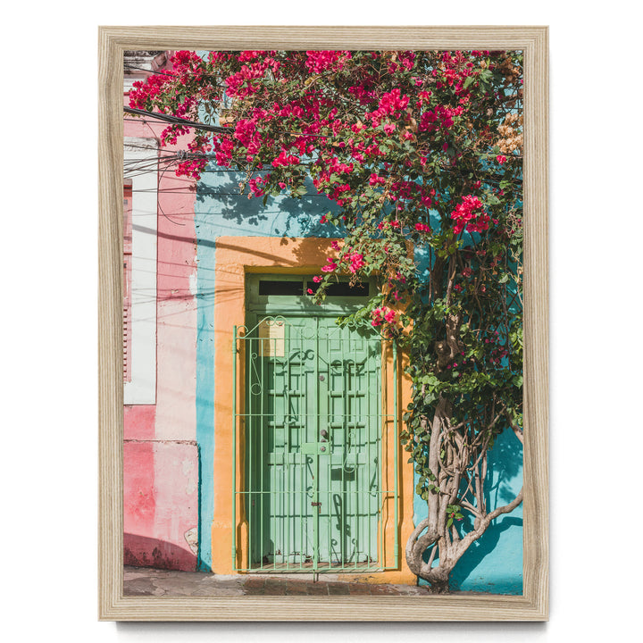 Bougainvillea and Green Door I, Olinda, Brazil print in a natural wood frame without mat
