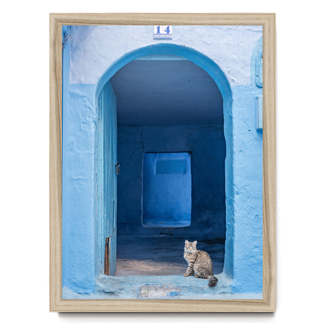 Cat in the Blue Doorway, Chefchaouen, Morocco print in a natural wood frame without mat