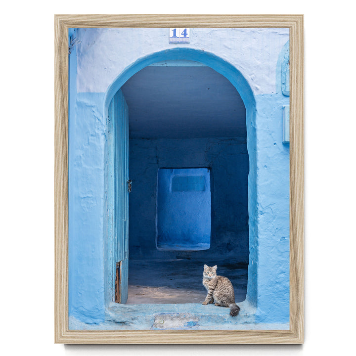 Cat in the Blue Doorway, Chefchaouen, Morocco print in a natural wood frame without mat