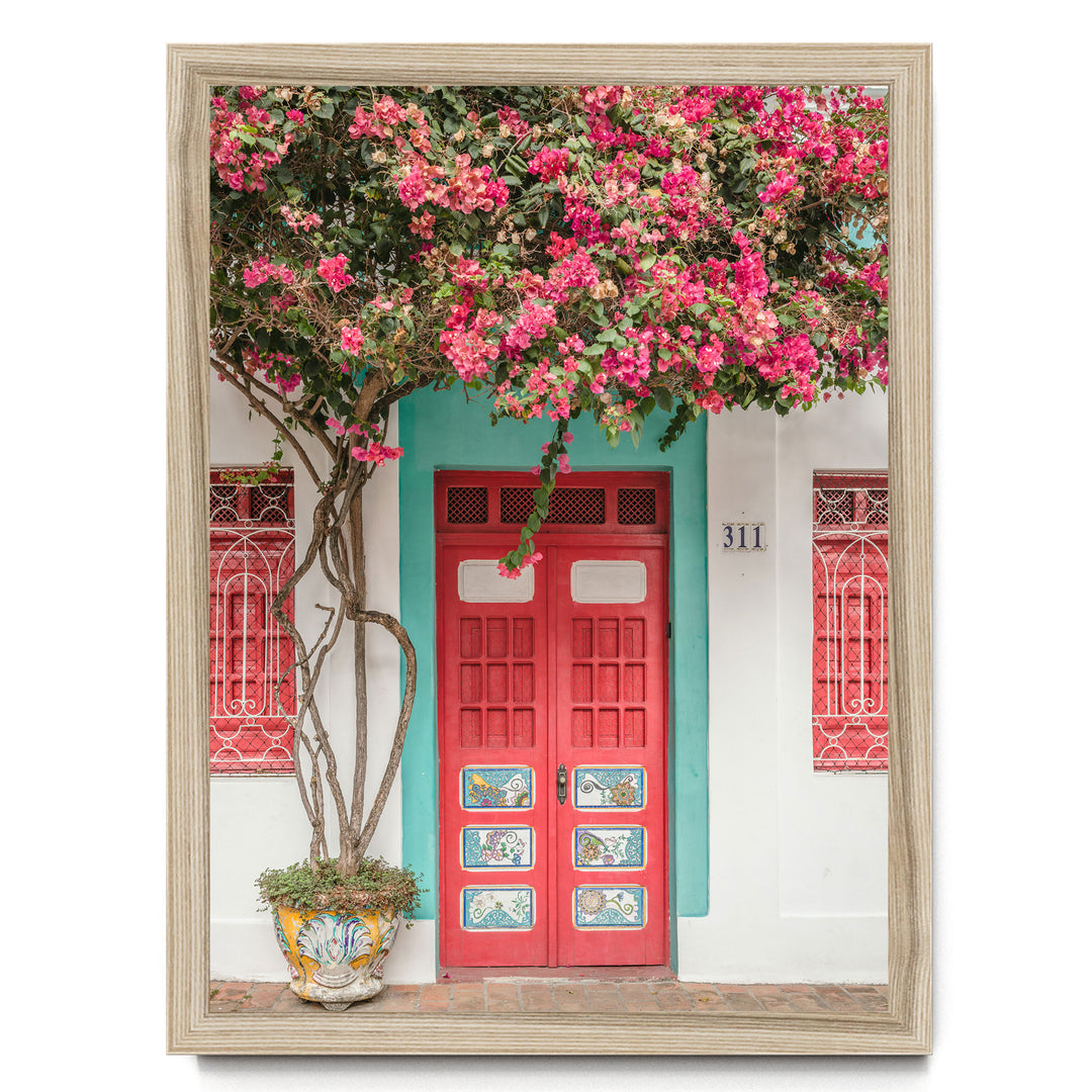 Bougainvillea and Red Door, Olinda, Brazil print in a natural wood frame without mat