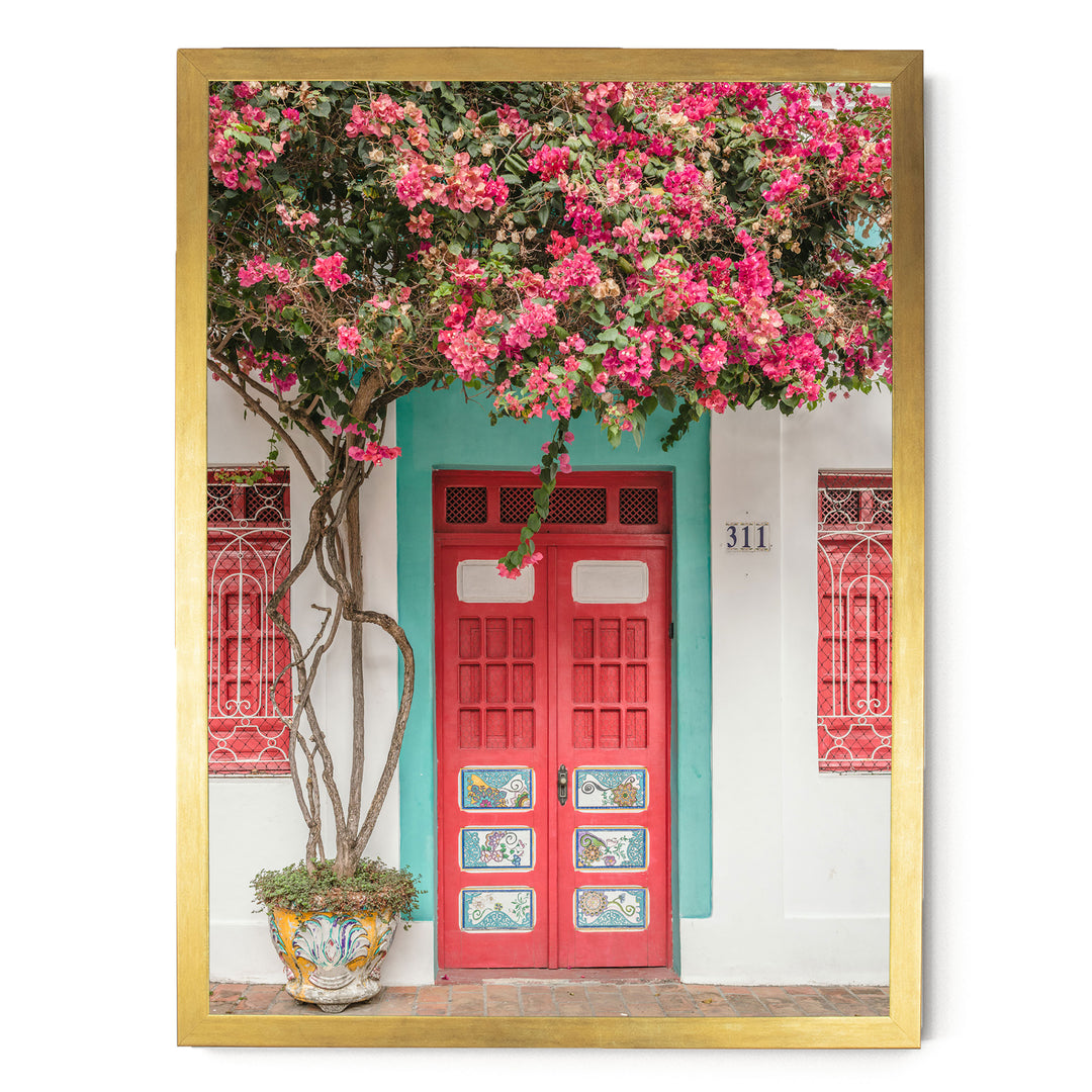 Bougainvillea and Red Door, Olinda, Brazil print in a gold frame without mat