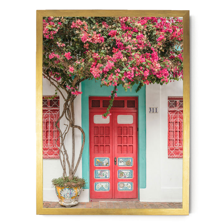 Bougainvillea and Red Door, Olinda, Brazil print in a gold frame without mat