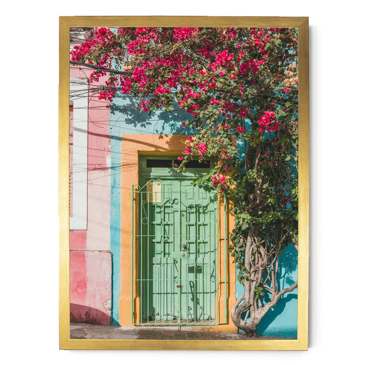Bougainvillea and Green Door I, Olinda, Brazil print in a gold frame without mat