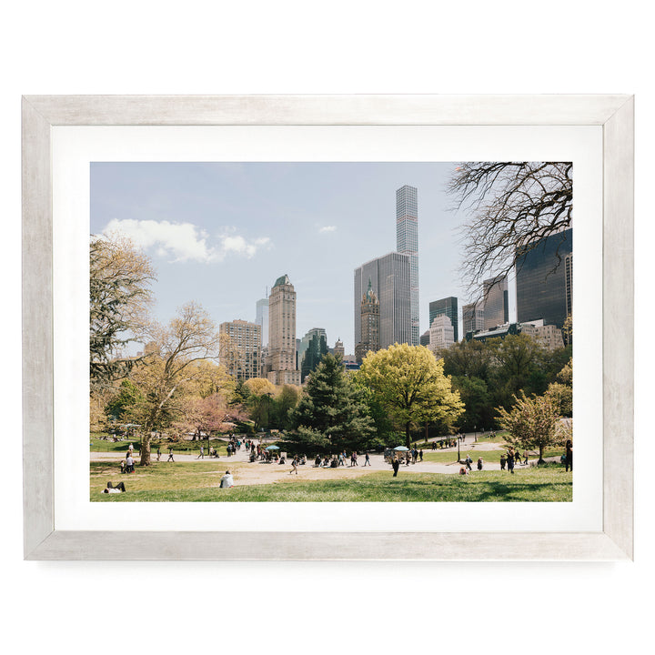 Central Park and Billionaires&