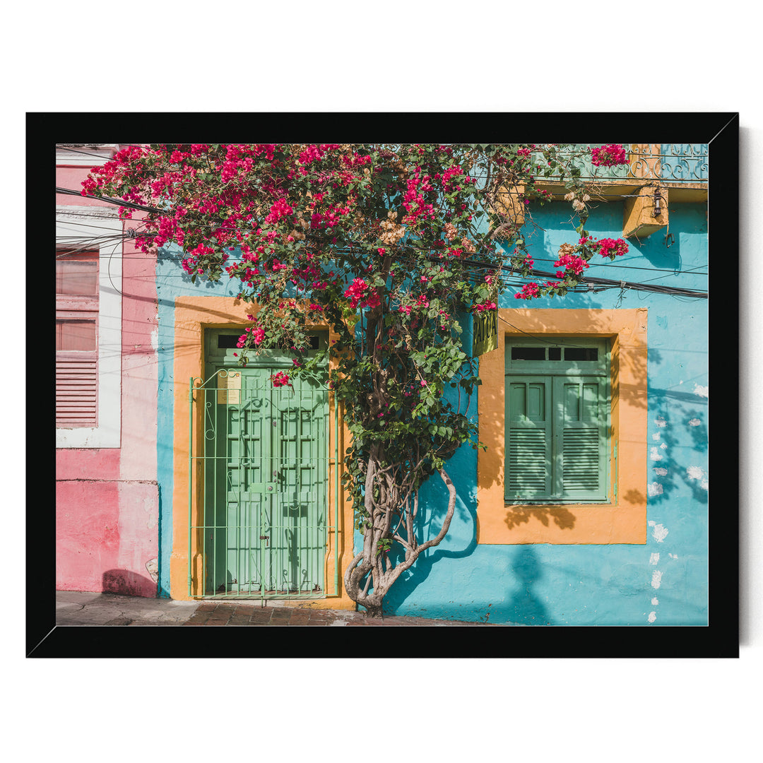 Bougainvillea and Green Door II, Olinda, Brazil print in a black frame without mat