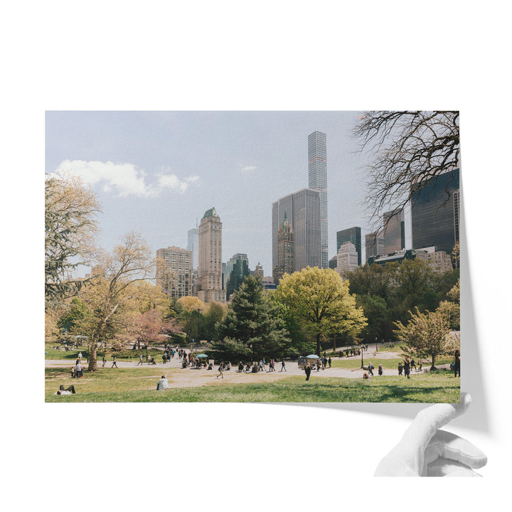 Central Park and Billionaires&